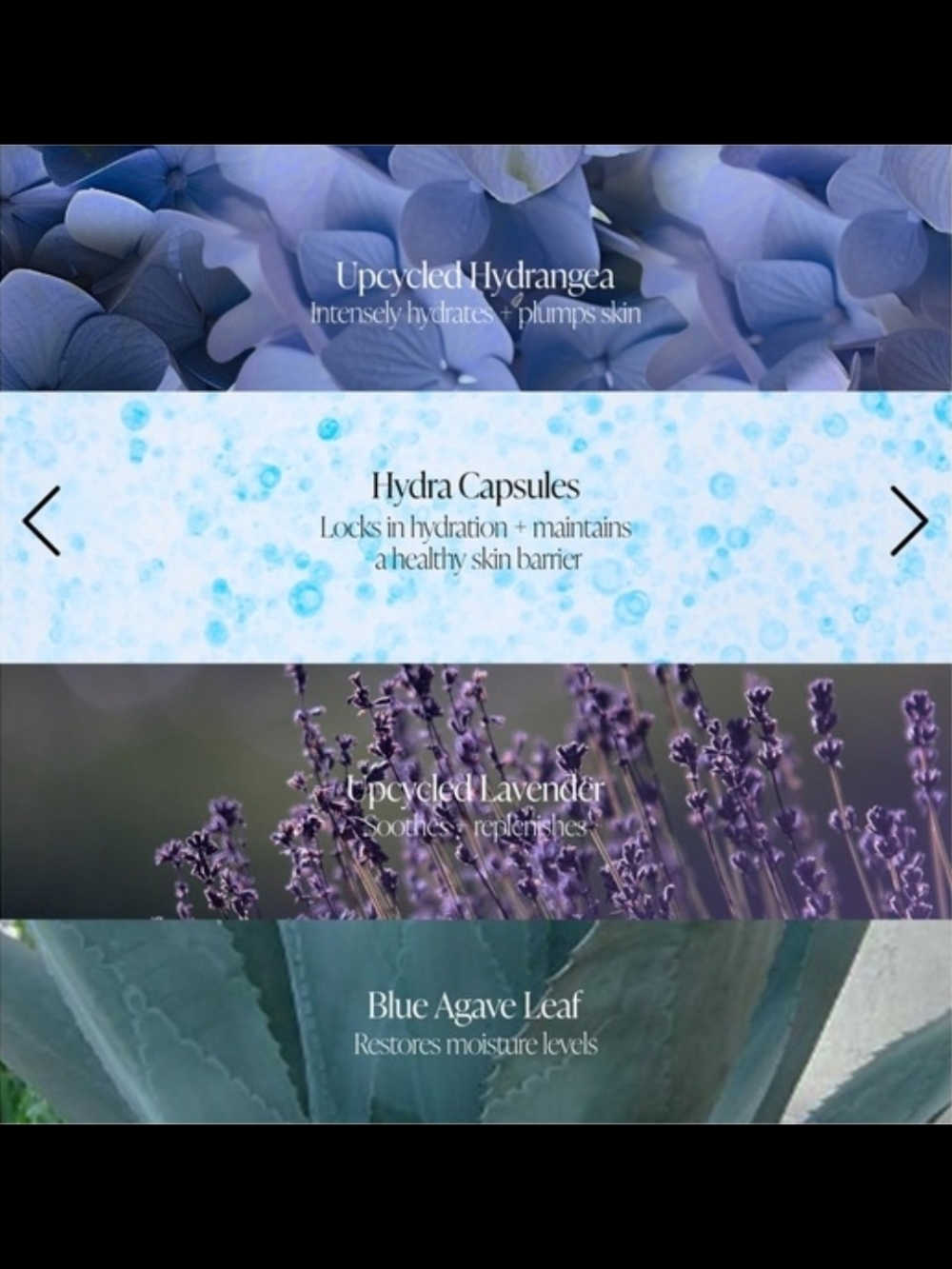 BYROE Hydrangea Tea Intensive Hydration Serum - Picture 5 of 6